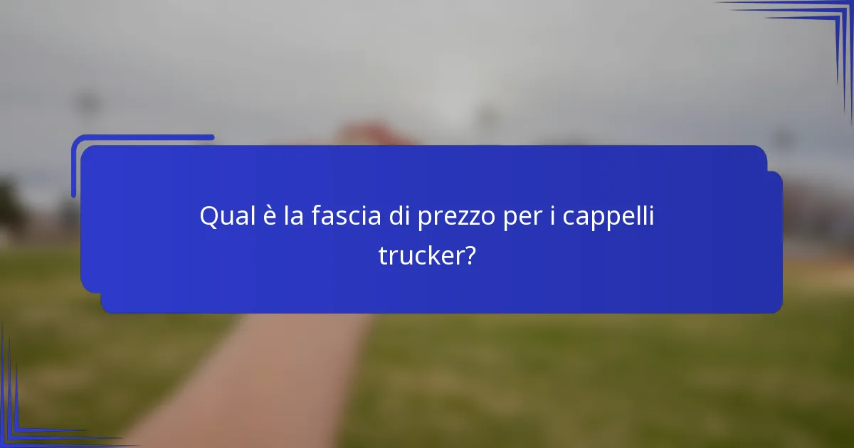 Qual è la fascia di prezzo per i cappelli trucker?